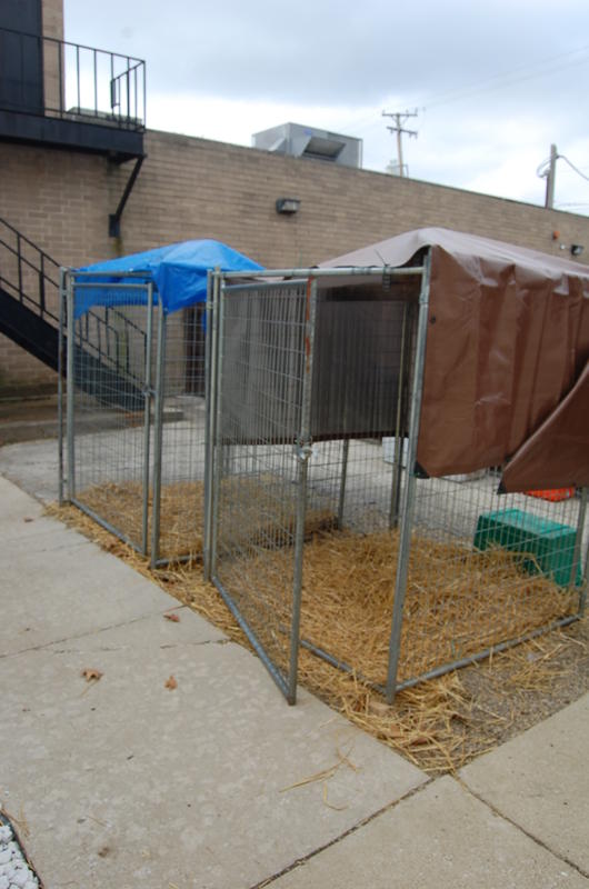 Southwest Animal Care Center / Before and After / Outside Kennel Before