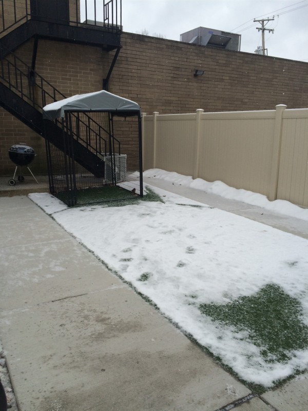 Southwest Animal Care Center / Before and After / Outside Kennel After